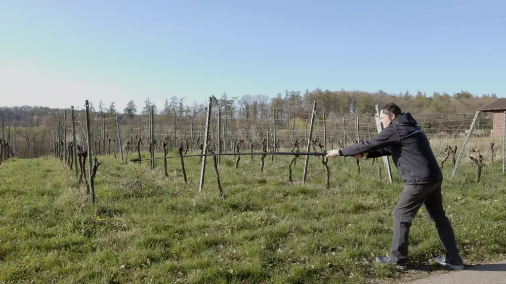 Teleskopstange für das Smartphone